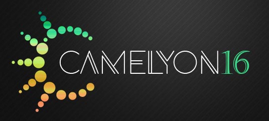 CAMELYON16 Challenge